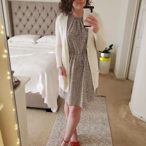 H&M Flutter Sleeve Dress